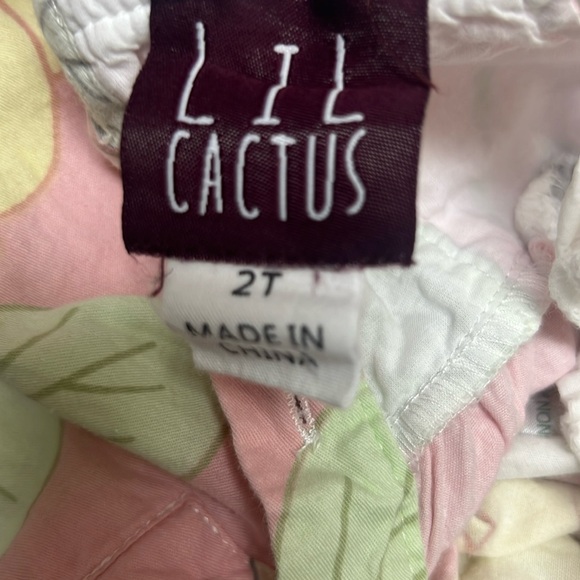 Lil Cactus Girls Toddler Bird Floral Top and Denim Ruffle Pants Set Outfit 2T - Picture 2 of 5